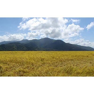 2023年4月発送開始『定期便』【無洗米】「米食味鑑定士　厳選」魚沼産コシヒカリ5kg　全6回
