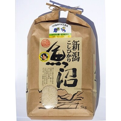 2022年11月発送開始『定期便』ツバメの飛び交う棚田米　精米5kg　全6回