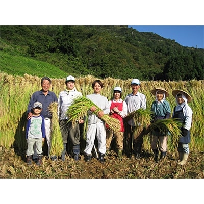 2022年11月発送開始『定期便』ツバメの飛び交う棚田米　精米5kg　全6回