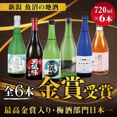 【最高金賞&日本一梅酒入り】全6本金賞受賞酒  720ml×6本セット