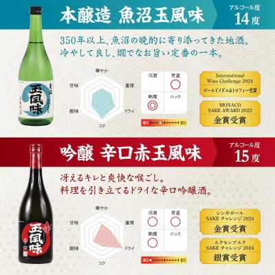 【最高金賞&日本一梅酒入り】全6本金賞受賞酒  720ml×6本セット
