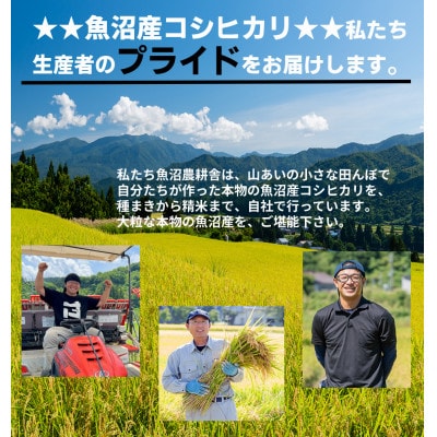 「令和8年産　新米先行受付」無洗米 米農家自慢の 魚沼産 コシヒカリ 2kg×1袋