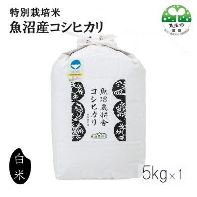 「令和6年産　」米農家自慢の特別栽培米 魚沼産コシヒカリ精米 5kg (5kg×1袋)