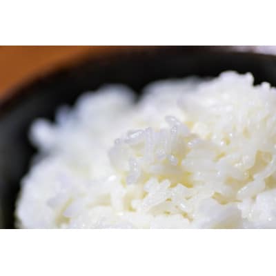 魚沼産コシヒカリ(精米)3kg 米袋エコバッグ付き