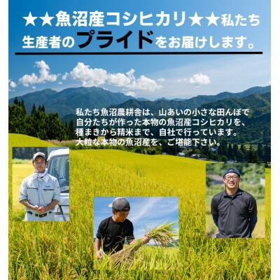 魚沼産コシヒカリ(精米)3kg 米袋エコバッグ付き