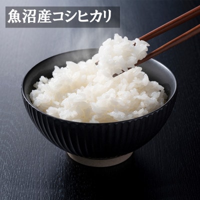 【令和8年産】無洗米 米農家自慢の 魚沼産 コシヒカリ 2kg×1袋