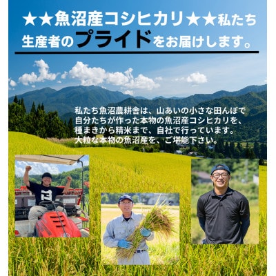 令和8年産有機JAS認証米 米農家自慢の 魚沼産 コシヒカリ精米3kg×1袋
