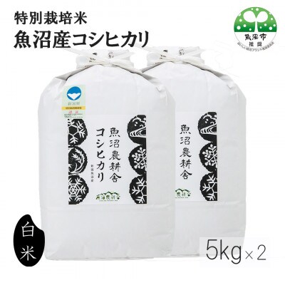 【令和8年産先行受付】米農家自慢の 特別栽培米 魚沼産 コシヒカリ(精米)10kg(5kg×2袋)