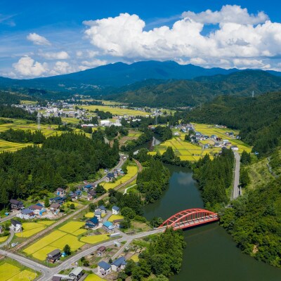 【令和8年産先行受付】有機JAS認証米 米農家自慢の 魚沼産 コシヒカリ玄米3kg×1袋