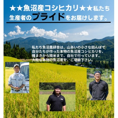 【毎月定期便】米農家自慢の 魚沼産 コシヒカリ 精米 5kg×1袋全12回