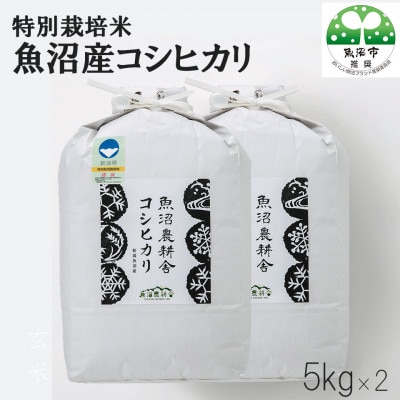 【2ヵ月毎定期便】米農家自慢の特別栽培米魚沼産コシヒカリ精米10kg(5kg×2袋)全6回