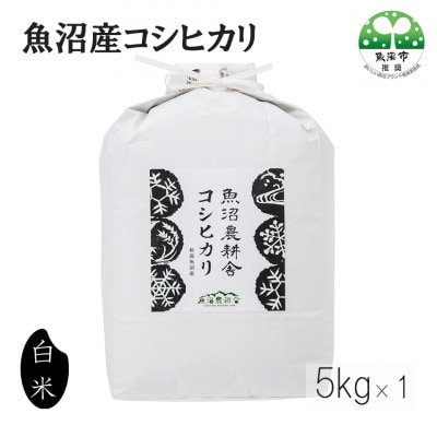 【毎月定期便】米農家自慢の 魚沼産 コシヒカリ 精米 5kg×1袋全12回