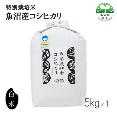【2ヵ月毎定期便】米農家自慢の特別栽培米魚沼産 コシヒカリ精米 5kg×1袋全6回