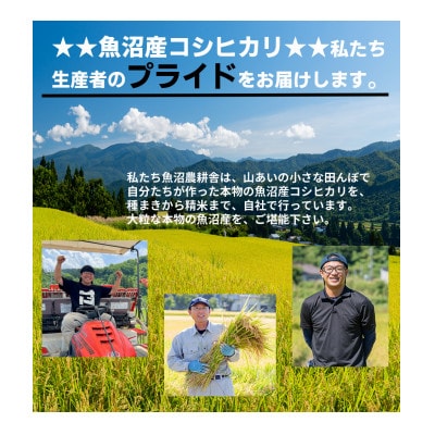 【毎月定期便】無洗米 米農家自慢の 魚沼産 コシヒカリ2kg×1袋全12回