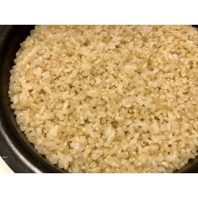 【毎月定期便】有機JAS認証米 米農家自慢の魚沼産コシヒカリ玄米3kg×1袋全12回