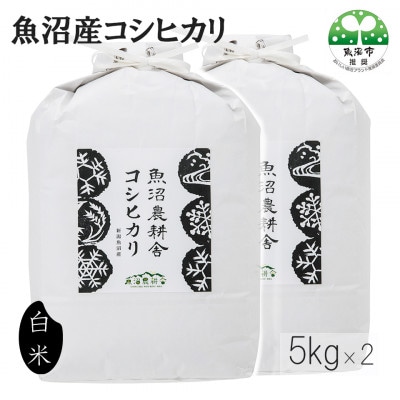 【2ヵ月毎定期便】米農家自慢の 魚沼産 コシヒカリ(精米)10kg(5kg×2袋)全6回