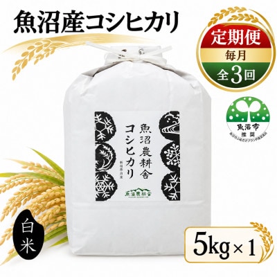 【毎月定期便】米農家自慢の 魚沼産 コシヒカリ 精米 5kg×1袋 【魚沼農耕舎】全3回