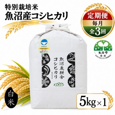 【毎月定期便】米農家自慢の 特別栽培米 魚沼産 コシヒカリ(精米) 5kg×1袋全3回