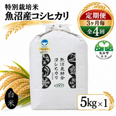 【3ヵ月毎定期便】米農家自慢の特別栽培米 魚沼産 コシヒカリ(精米) 5kg×1袋全4回