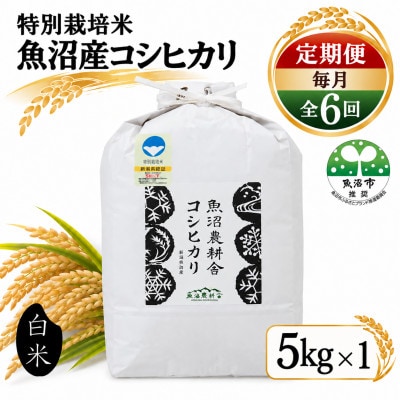 【毎月定期便】米農家自慢の特別栽培米 魚沼産 コシヒカリ(精米) 5kg×1袋全6回