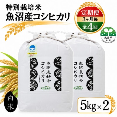 【3ヵ月毎定期便】米農家自慢の特別栽培米 魚沼産 コシヒカリ(精米)10kg(5kg×2袋)全4回