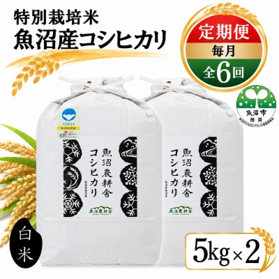 【毎月定期便】米農家自慢の特別栽培米 魚沼産 コシヒカリ(精米)10kg(5kg×2袋)全6回