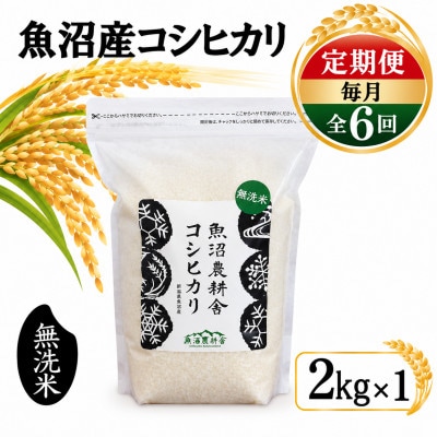 【毎月定期便】米農家自慢の魚沼産 コシヒカリ 無洗米 2kg×1袋全6回