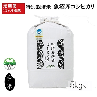 2022年3月発送開始『定期便』特栽米 魚沼産コシヒカリ 精米 5kg 全12回