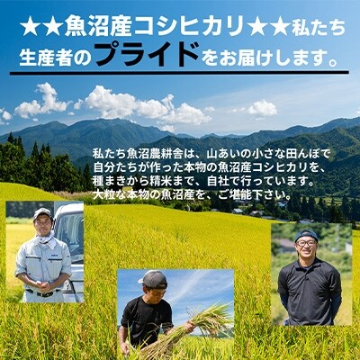 2022年4月発送開始『定期便』魚沼産コシヒカリ 精米 5kg 隔月発送 全6回