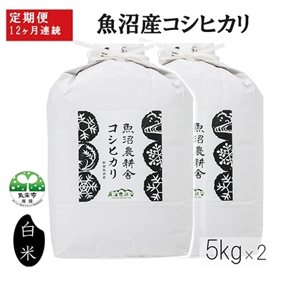 2023年1月発送開始『定期便』魚沼産コシヒカリ 精米 10kg 全12回