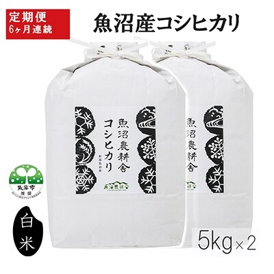 2022年4月発送開始『定期便』魚沼産コシヒカリ 精米 10kg 全6回