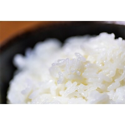 2022年4月発送開始『定期便』魚沼産コシヒカリ 精米 10kg 全6回