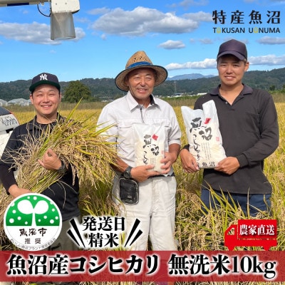 【令和6年産】【特産魚沼】魚沼産コシヒカリ無洗米5Kg×2個