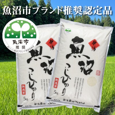 【令和6年産】【特産魚沼】魚沼産コシヒカリ無洗米5Kg×2個