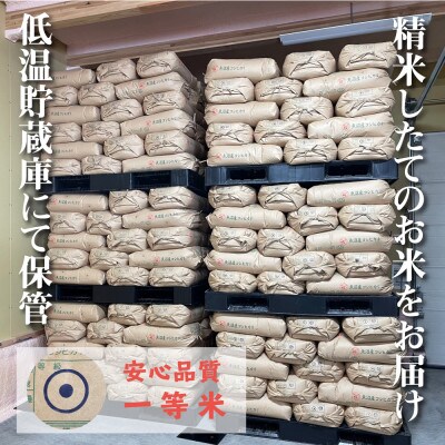 新米 農家直送!魚沼産コシヒカリ 無洗米4kg (スタンドパック2kg×2個)
