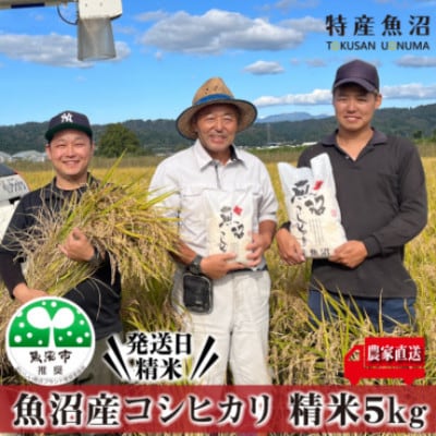 【令和8年産先行受付】農家直送 魚沼産コシヒカリ　精米5Kg 【特産魚沼】