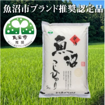 【令和8年産先行受付】農家直送 魚沼産コシヒカリ　精米5Kg 【特産魚沼】