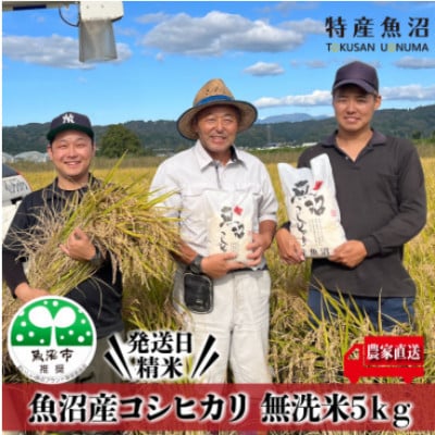【令和8年産先行受付】農家直送 魚沼産コシヒカリ　無洗米5Kg 【特産魚沼】