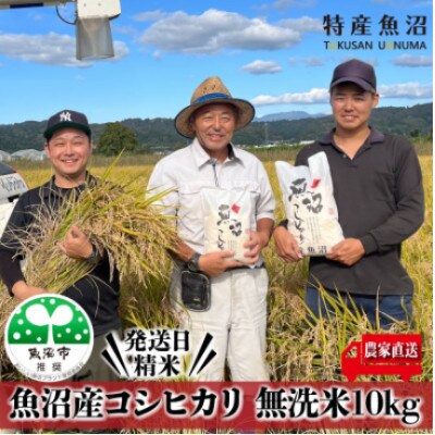 【令和8年産先行受付】【特産魚沼】魚沼産コシヒカリ無洗米5Kg×2個