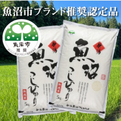 【令和8年産先行受付】【特産魚沼】魚沼産コシヒカリ無洗米5Kg×2個