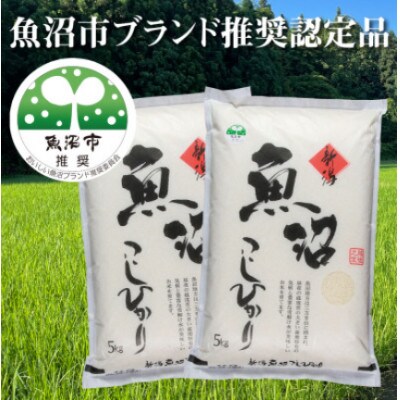 【令和8年産先行受付】農家直送!魚沼産コシヒカリ　精米10kg