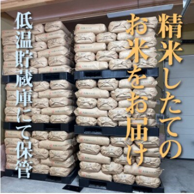 【令和8年産先行受付】農家直送!魚沼産コシヒカリ　精米10kg