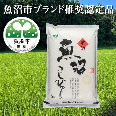【毎月定期便】(魚沼ブランド推奨認定) 農家直送!魚沼産コシヒカリ(精米)5kg全6回