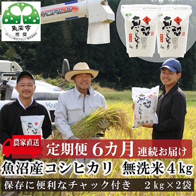 【毎月定期便】 農家直送!魚沼産コシヒカリ無洗米4kg (スタンド2kg×2個)全6回