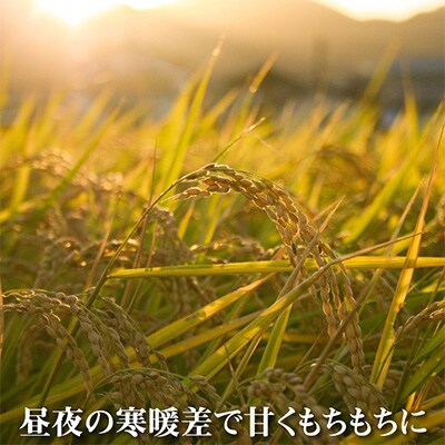 【毎月定期便】 農家直送!魚沼産コシヒカリ無洗米4kg (スタンド2kg×2個)全12回