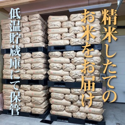 【毎月定期便】 農家直送!魚沼産コシヒカリ無洗米4kg (スタンド2kg×2個)全12回