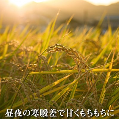 【毎月定期便】(魚沼ブランド推奨認定) 農家直送!魚沼産コシヒカリ(精米)10k(5k×2)全12回