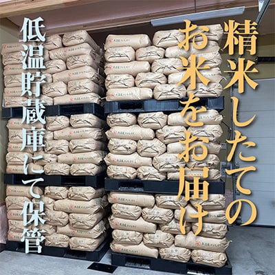 【毎月定期便】(魚沼ブランド推奨認定) 農家直送!魚沼産コシヒカリ無洗米10kg(5kg×2)全6回