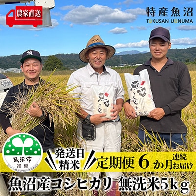【毎月定期便】(魚沼ブランド推奨認定) 農家直送!魚沼産コシヒカリ無洗米5kg全6回