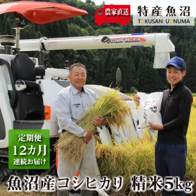 【毎月定期便】農家直送!魚沼産コシヒカリ(精米)5kg全12回